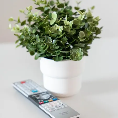 Bege Business Oasis דירה