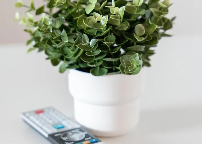 Bege Business Oasis Lejlighed